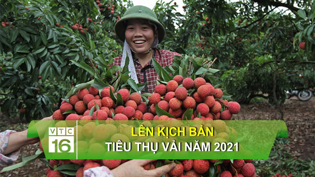 Video ngắn – Giải pháp truyền thông thông minh cho doanh nghiệp nhỏ
