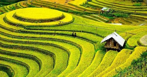 ﻿ Huấn luyện viên từ chức, CLB Thanh Hoá muốn giữ