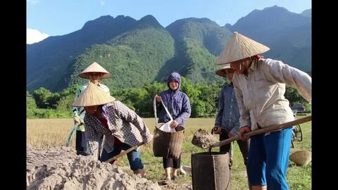 Biến động điểm chuẩn Đại học Y Hà Nội bốn năm gần nhất