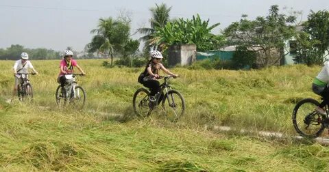 Vì sao thang máy có gương, nhà sản xuất nêu 3 lý do khiến nhiều người bất ngờ